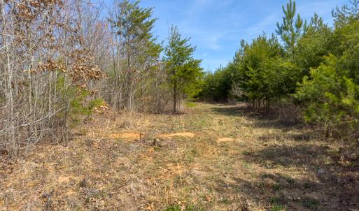 Photo #69 of Off Turner Road, Reidsville, NC 73.3 acres
