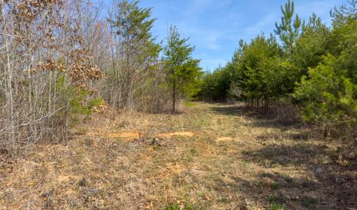 Photo #69 of SOLD property in Off Turner Road, Reidsville, NC 73.3 acres