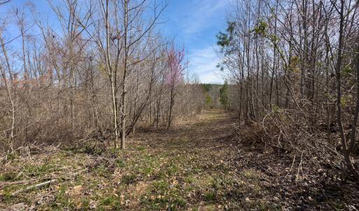 Photo #72 of SOLD property in Off Turner Road, Reidsville, NC 73.3 acres