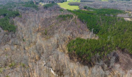Photo #73 of Off Turner Road, Reidsville, NC 73.3 acres