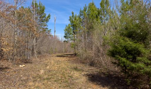 Photo #74 of SOLD property in Off Turner Road, Reidsville, NC 73.3 acres