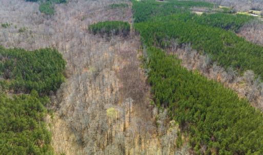 Photo #75 of SOLD property in Off Turner Road, Reidsville, NC 73.3 acres