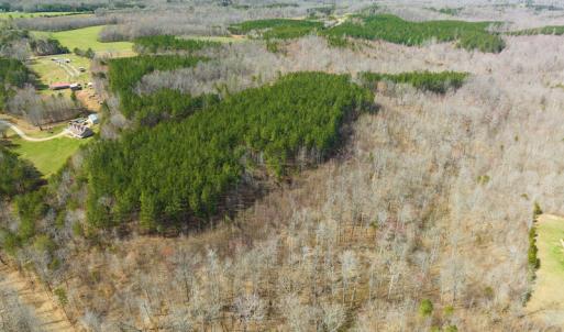 Photo #77 of SOLD property in Off Turner Road, Reidsville, NC 73.3 acres