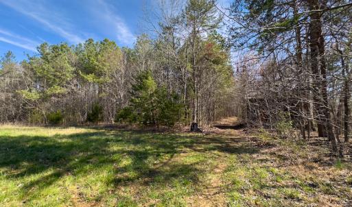 Photo #79 of SOLD property in Off Turner Road, Reidsville, NC 73.3 acres