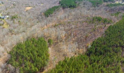 Photo #80 of Off Turner Road, Reidsville, NC 73.3 acres