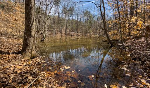 Photo #81 of SOLD property in Off Turner Road, Reidsville, NC 73.3 acres