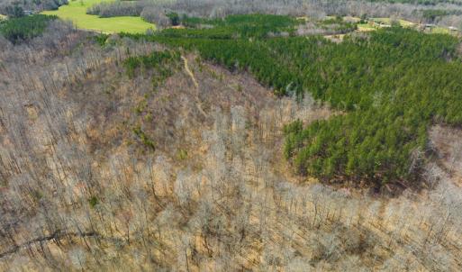 Photo #84 of Off Turner Road, Reidsville, NC 73.3 acres