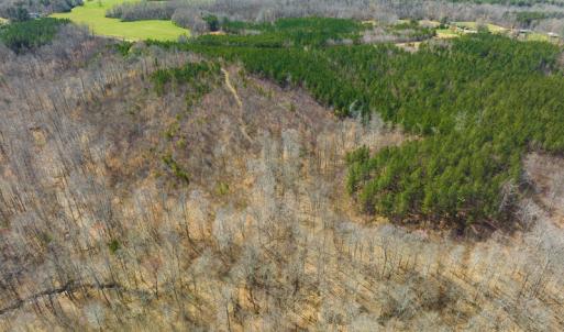 Photo #84 of SOLD property in Off Turner Road, Reidsville, NC 73.3 acres