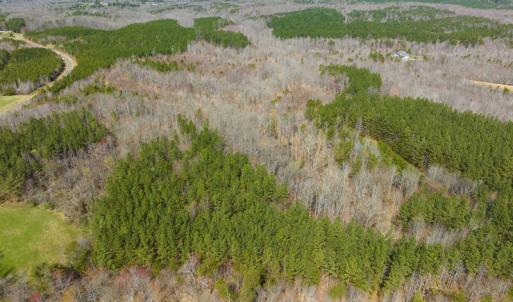 Photo #85 of SOLD property in Off Turner Road, Reidsville, NC 73.3 acres