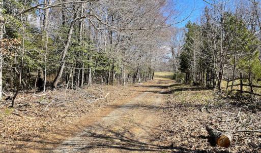 Photo #8 of SOLD property in 801 Greg Lane, Williamsburg, VA 50.0 acres