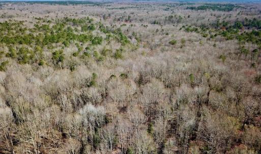 Photo #7 of 5541 Farmers Dr , Barhamsville, VA 168.0 acres