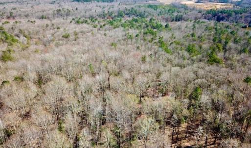 Photo #8 of 5541 Farmers Dr , Barhamsville, VA 168.0 acres