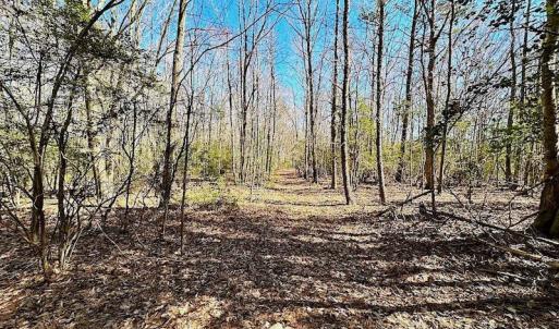 Photo #29 of 5541 Farmers Dr , Barhamsville, VA 168.0 acres