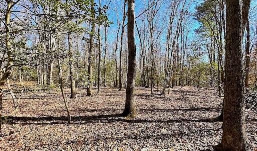 Photo #30 of 5541 Farmers Dr , Barhamsville, VA 168.0 acres
