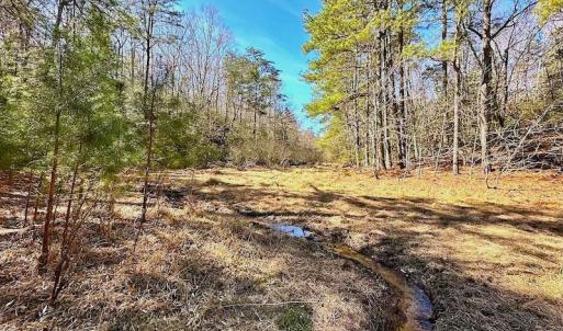 Photo #31 of 5541 Farmers Dr , Barhamsville, VA 168.0 acres