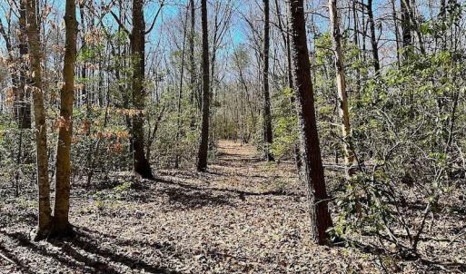 Photo #32 of 5541 Farmers Dr , Barhamsville, VA 168.0 acres