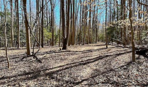 Photo #34 of 5541 Farmers Dr , Barhamsville, VA 168.0 acres