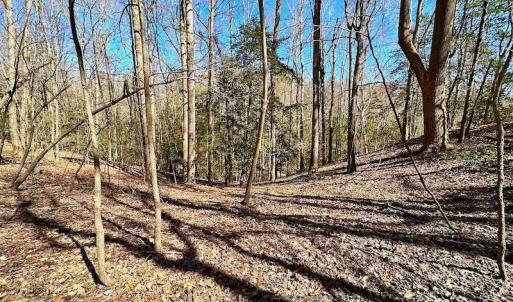 Photo #35 of 5541 Farmers Dr , Barhamsville, VA 168.0 acres