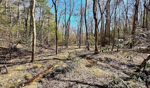 Photo #36 of 5541 Farmers Dr , Barhamsville, VA 168.0 acres