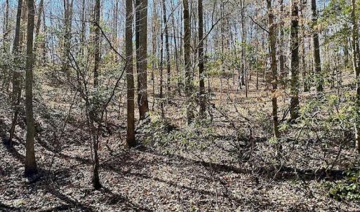 Photo #37 of 5541 Farmers Dr , Barhamsville, VA 168.0 acres