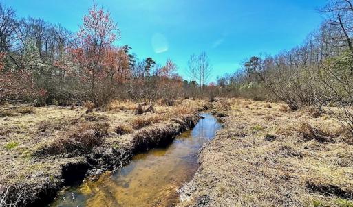 Photo #38 of 5541 Farmers Dr , Barhamsville, VA 168.0 acres