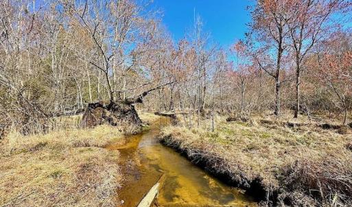 Photo #39 of 5541 Farmers Dr , Barhamsville, VA 168.0 acres