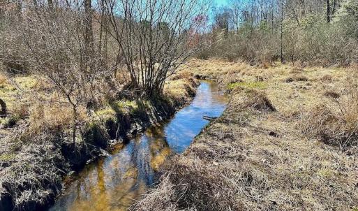 Photo #41 of 5541 Farmers Dr , Barhamsville, VA 168.0 acres