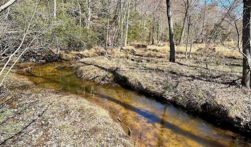 Photo #42 of 5541 Farmers Dr , Barhamsville, VA 168.0 acres