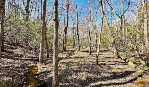 Photo #43 of 5541 Farmers Dr , Barhamsville, VA 168.0 acres