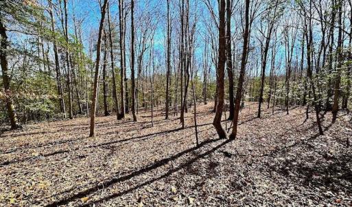 Photo #44 of 5541 Farmers Dr , Barhamsville, VA 168.0 acres