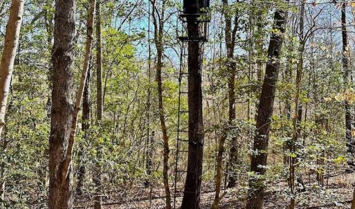 Photo #45 of 5541 Farmers Dr , Barhamsville, VA 168.0 acres