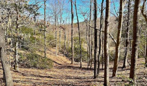 Photo #46 of 5541 Farmers Dr , Barhamsville, VA 168.0 acres