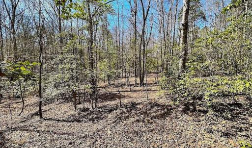 Photo #47 of 5541 Farmers Dr , Barhamsville, VA 168.0 acres