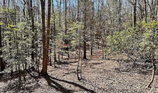Photo #48 of 5541 Farmers Dr , Barhamsville, VA 168.0 acres