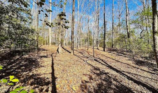 Photo #49 of 5541 Farmers Dr , Barhamsville, VA 168.0 acres