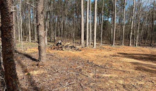 Photo #14 of SOLD property in 205 Amber Rd Lot H, Timberlake, NC 1.2 acres