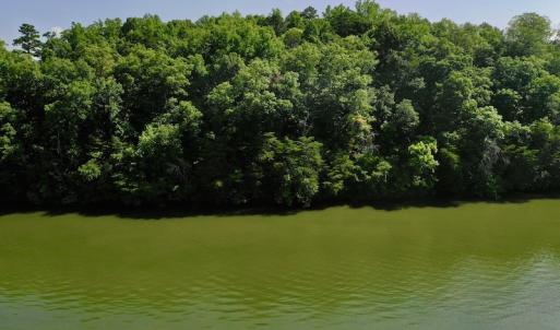 Photo #8 of SOLD property in 0ff Reservior View Dr, Pittsville, VA 5.0 acres