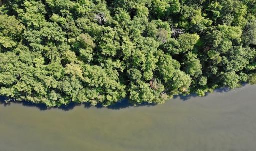 Photo #11 of SOLD property in 0ff Reservior View Dr, Pittsville, VA 5.0 acres