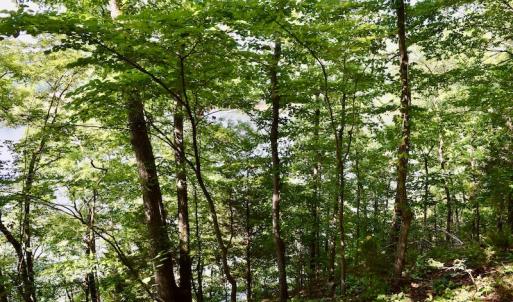 Photo #25 of SOLD property in 0ff Reservior View Dr, Pittsville, VA 5.0 acres
