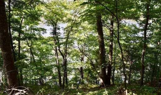 Photo #26 of SOLD property in 0ff Reservior View Dr, Pittsville, VA 5.0 acres