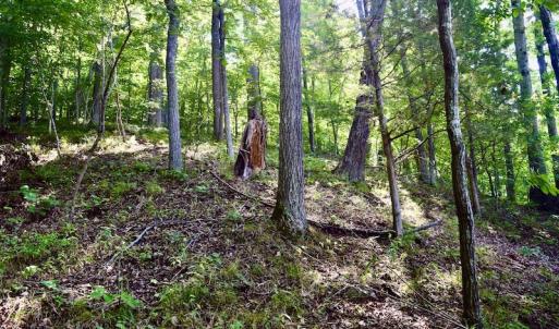 Photo #31 of SOLD property in 0ff Reservior View Dr, Pittsville, VA 5.0 acres