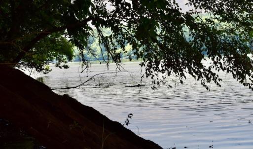 Photo #32 of SOLD property in 0ff Reservior View Dr, Pittsville, VA 5.0 acres