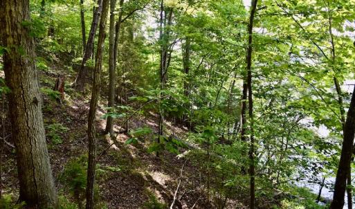 Photo #33 of SOLD property in 0ff Reservior View Dr, Pittsville, VA 5.0 acres