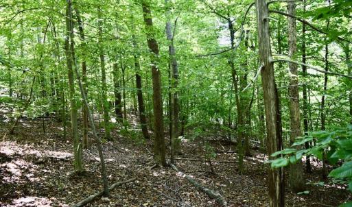 Photo #36 of SOLD property in 0ff Reservior View Dr, Pittsville, VA 5.0 acres