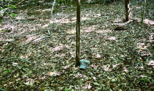Photo #37 of SOLD property in 0ff Reservior View Dr, Pittsville, VA 5.0 acres