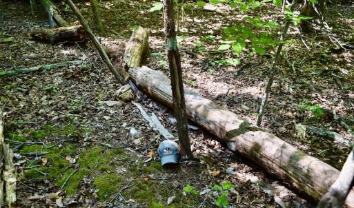 Photo #39 of SOLD property in 0ff Reservior View Dr, Pittsville, VA 5.0 acres