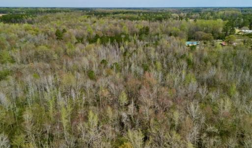 Photo #14 of Off Atkinson Road, Fairmont, NC 26.4 acres