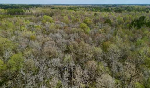 Photo #16 of Off Atkinson Road, Fairmont, NC 26.4 acres