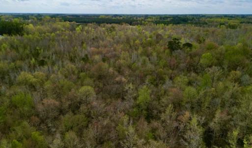 Photo #19 of Off Atkinson Road, Fairmont, NC 26.4 acres