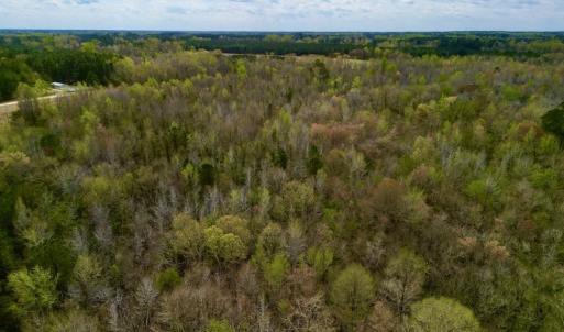 Photo #20 of Off Atkinson Road, Fairmont, NC 26.4 acres